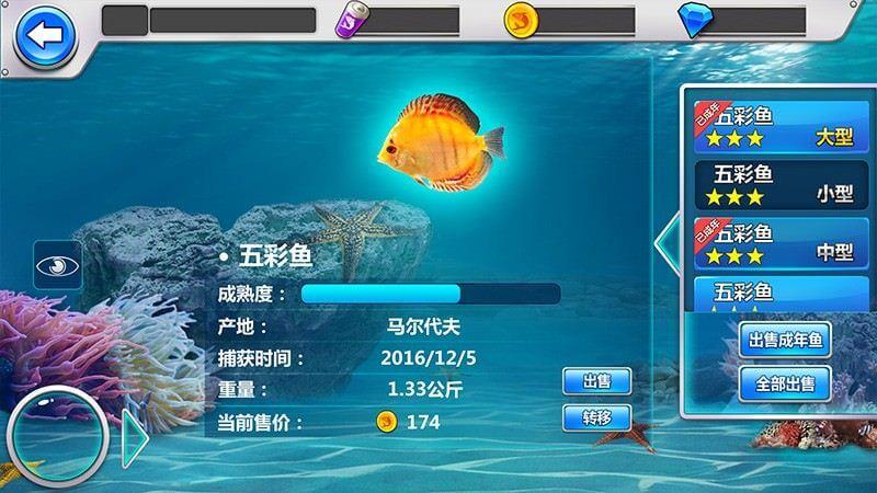 全民钓鱼