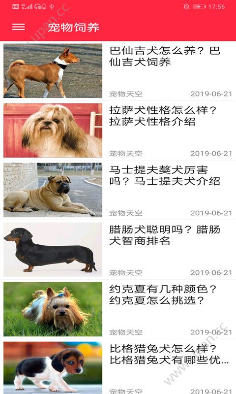 火猫宠社