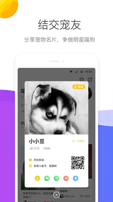 宠优优