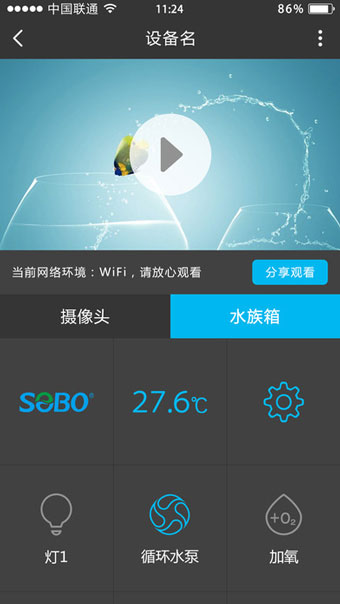 爱鱼奇
