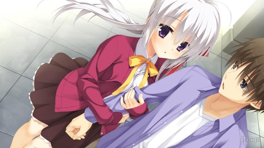 魔女的夜宴