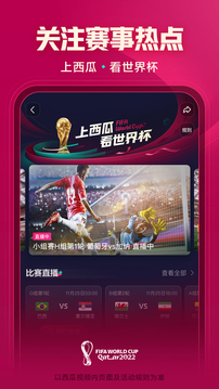 西瓜视频 在线播放免费