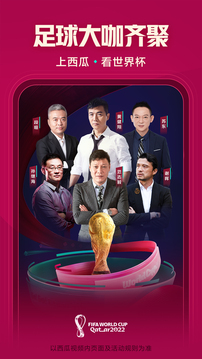 西瓜视频 在线播放免费