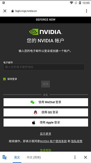 英伟达云