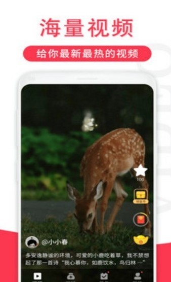 辣椒短视频